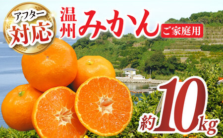 [ご家庭用]みかん 約 10kg(100-120個)ー2024年11月下旬より発送ー長与町/長崎西彼農業協同組合 長与支店 [EAH003] 温州みかん みかん10kg みかん 先行予約