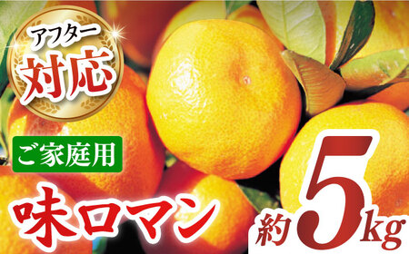 [ご家庭用]味ロマン 約5kg(約50-60個) ー2024年11月下旬より発送ー長与町/長崎西彼農業協同組合 長与支店 [EAH004] みかん ミカン みかん 先行予約