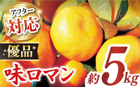 [優品]味ロマン 約5kg (約50-60個)ー2024年11月下旬より発送ー長与町/長崎西彼農業協同組合 長与支店 [EAH005] みかん ミカン みかん 先行予約