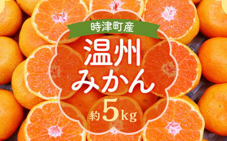 時津町特産 温州みかん 約5kg 糖度が高くなる時期のみお届け![時期厳選][2024年12月上旬〜2025年1月下旬迄発送予定]