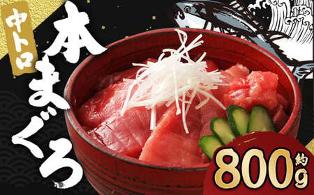 茧Y {}Ougv800gy呺pƋgz