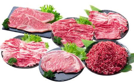 [年6回定期便] 長崎和牛 トライアルコース / 6回定期便 和牛 牛肉 お肉 肉 赤身 サーロイン もも カルビ バラ ロース 牛ミンチ ミンチ リブロース ステーキ 焼き肉 焼肉 すき焼き しゃぶしゃぶ 定期便 長崎県 時津町 冷凍
