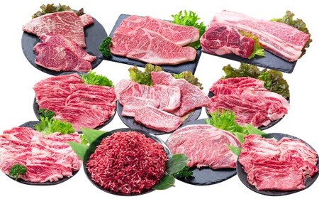 [12回定期便] 長崎和牛 スタンダードコース / 12回定期便 和牛 牛肉 お肉 肉 ヒレ もも カルビ バラ サーロイン 牛ミンチ ミンチ ロース リブロース すね トモサンカク シキンボ ステーキ 焼き肉 焼肉 すき焼き しゃぶしゃぶ 煮込み 煮込 ブロック セット 食べ比べ 長崎県 時津町 冷凍