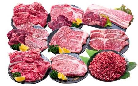 [12回定期便] 長崎和牛 プレミアムコース / 12回定期便 和牛 牛肉 お肉 肉 サーロイン もも カルビ バラ ロース リブロース すね 牛ミンチ ミンチ ヒレ トモサンカク シキンボ ステーキ 焼き肉 焼肉 すき焼き 煮込み 煮込 しゃぶしゃぶ セット 食べ比べ 長崎県 時津町 冷凍