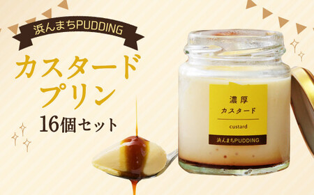 [2025年10月発送]カスタードプリン 80g×16個 セット 浜んまちPUDDING