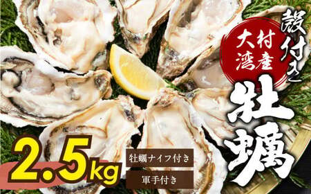 �呺�p�Y �k�t�� ���y ���M�p A�Z�b�g ��2.5kg �_�C�_�C2�t�� �i�C�t�E�R��t�� ���� �J�L ���� �① �y2026�N2�����{�����������\��z