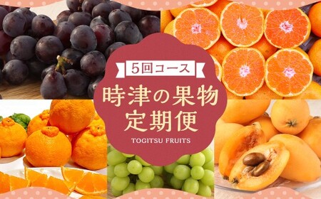 [定期便5回コース]時津の果物定期便 みかんとぶどうの町から贈る 特産品の定期便 シャインマスカット 巨峰 みかん 不知火 びわ [2025年12月上旬より順次発送予定]