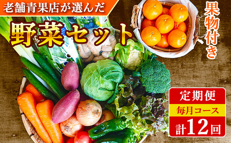 [定期便 12回コース]野菜のプロ40年が届ける 厳選野菜セット! 野菜・フルーツ 15〜16品目 詰め合わせ