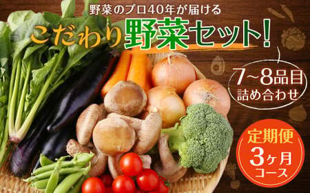 [定期便 3ヶ月コース] 野菜のプロ40年が届けるこだわり野菜セット! 7〜8品目 詰め合わせ