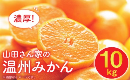 [2024年11月下旬より順次発送]山田さん家の濃厚!温州みかん 10kg /フルーツ みかん ミカン 柑橘 期間限定 東彼杵町 