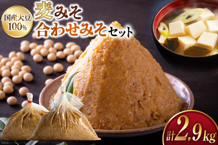 X ݂ 2kg 킹݂ 900g [nX 茧 ދn hs42bag590006]   ݂ ~\  킹X lߍ킹 Zbg 