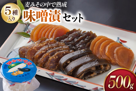味噌漬け 詰め合わせ 田舎味噌漬け 5種 500g [大渡商店 長崎県 東彼杵町 hs42bag590009] 味噌 みそ ミソ みそ漬け 手作り ご飯のお供 漬物 漬け物