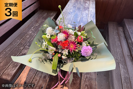 花 定期便 秋 生花 アレンジメント Sサイズ 計3回 [ミドリブ 長崎県 東彼杵町 hs42bag220007] お花 アレンジメントフラワー アレンジメント花 玄関飾り