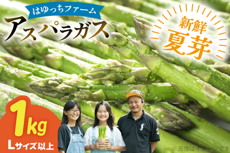 アスパラ アスパラガス 夏芽アスパラガス 1kg L サイズ以上 [はゆっちFARM 長崎県 東彼杵町 hs42bag360001] アスパラ あすぱら 新鮮 夏