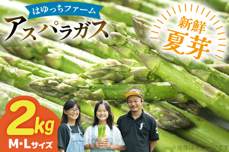 アスパラ アスパラガス 夏芽アスパラガス 2kg M L サイズ混合 [はゆっちFARM 長崎県 東彼杵町 hs42bag360002] アスパラ あすぱら 新鮮 夏