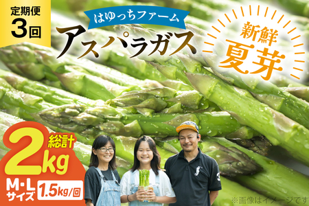 アスパラ アスパラガス 定期便 先行予約 夏芽アスパラガス 1.5kg M L サイズ混合 3回 計4.5kg [はゆっちFARM 長崎県 東彼杵町 hs42bag360004] アスパラ あすぱら 新鮮 夏