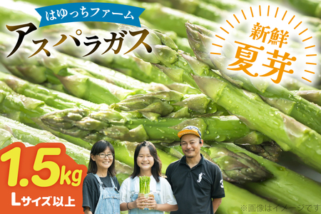 アスパラ アスパラガス 夏芽アスパラガス 1.5kg L サイズ以上 [はゆっちFARM 長崎県 東彼杵町 hs42bag360006] アスパラ あすぱら 新鮮 夏