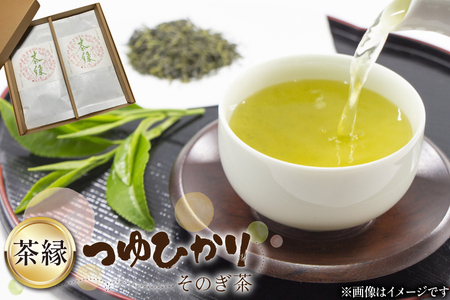 そのぎ茶 緑茶 そのぎ茶[茶縁]「つゆひかり」100g 2袋入 [東坂こくまる商店 長崎県 東彼杵町 hs42bag700001]