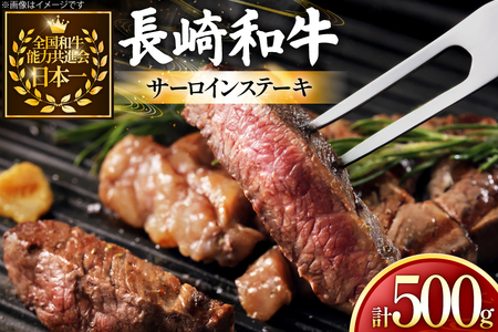  a T[C Xe[L 250g 2 500g [ 茧 ދn hs42bag750029] ~ Ԑg Xe[L T[C