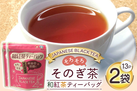  g ̂ ageB[obO (3g×13P)2 [G 茧 ދn hs42bag510001]