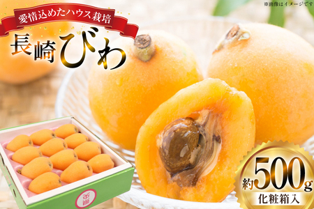 長崎 びわ 長崎県産 ハウスびわ 500g 化粧箱入 つめあわせ 【2026年3月順次発送】[JAながさき県央グリーン東彼 長崎県 東彼杵町 hs42bag450001] 