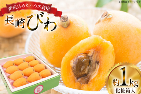 長崎 びわ 長崎県産 ハウスびわ 1kg 化粧箱入 つめあわせ 【2026年3月順次発送】[JAながさき県央グリーン東彼 長崎県 東彼杵町 hs42bag450000] 