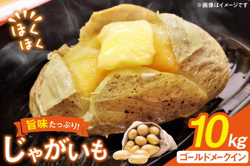 じゃがいも メークイン 産地直送 春野菜 野田さん家のじゃがいも ゴールドメークイン 10kg 限定20個 [野田物産 長崎県 東彼杵町 hs42bag810001]