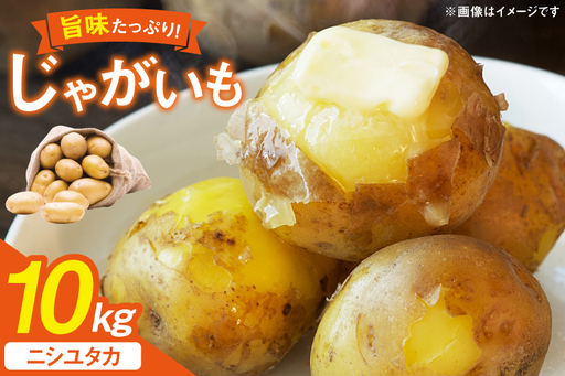 じゃがいも 産地直送 春野菜 野田さん家のじゃがいも ニシユタカ 10kg 限定30個 [野田物産 長崎県 東彼杵町 hs42bag810000]