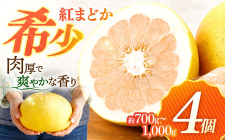 紅まどか 4個[OBP001]柑橘