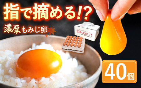 高級 平飼いもみじたまご 40個 ※12月発送なし[OAC013]たまご卵たまご卵たまご卵たまご卵