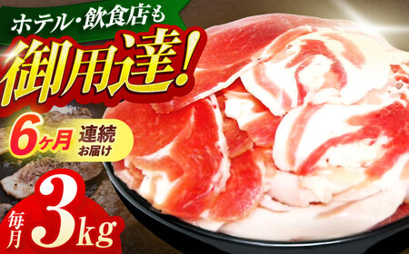 y6ցz؂藎Ƃ3kg(ڂEύEuߗp)[OAJ026]
