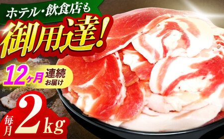 y12ցz؂藎Ƃ2kg(ڂEύEuߗp)[OAJ024]