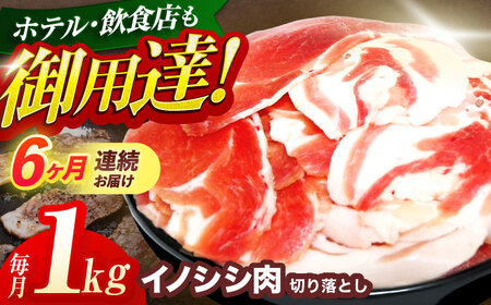 y6ցz؂藎Ƃ1kg(ڂEύEuߗp)[OAJ020]