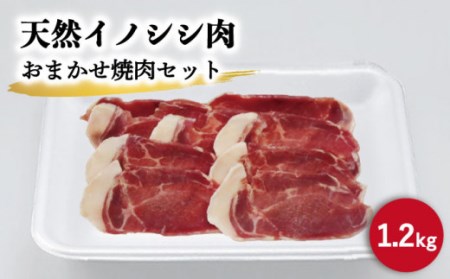 天然イノシシ肉 おまかせ焼肉セット 1,200g (ロース・モモ・バラ) / ジビエ 猪肉 いのしし肉 ジビエ 肉じゃが用 イノシシ いのしし焼肉 長崎 猪 ぼたん鍋 鍋 猪鍋 切り落とし ジビエ料理 長崎 川棚 九州産 真空パック 食べ比べ 食べ比べ[照本食肉加工所]