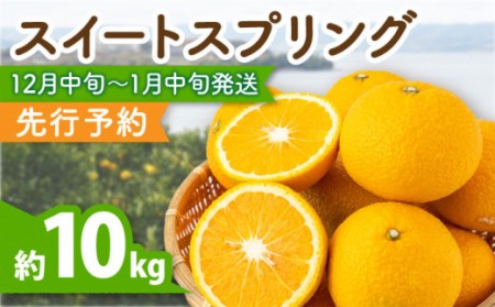 [先行予約]爽やかな甘い香り スイートスプリング 長崎県産 約10kg / 柑橘 柑橘類 人気柑橘 フルーツ 柑橘フルーツ 長崎県産柑橘 完熟みかん 長崎 かんきつ 冬みかん 九州フルーツ みかん [田崎FARM]