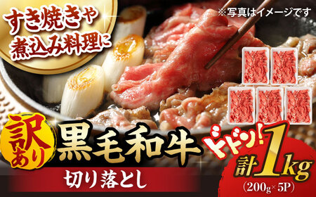 y󂠂z ؂藎Ƃ 1.0kg (200g×5) a јa  yt@[VVz [WF20]   Ԃ Ă A P