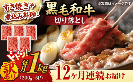 y12ցzy󂠂z ؂藎Ƃ 1.0kg (200g×5) a јa yt@[VVz [WF40]   Ԃ Ă A P 