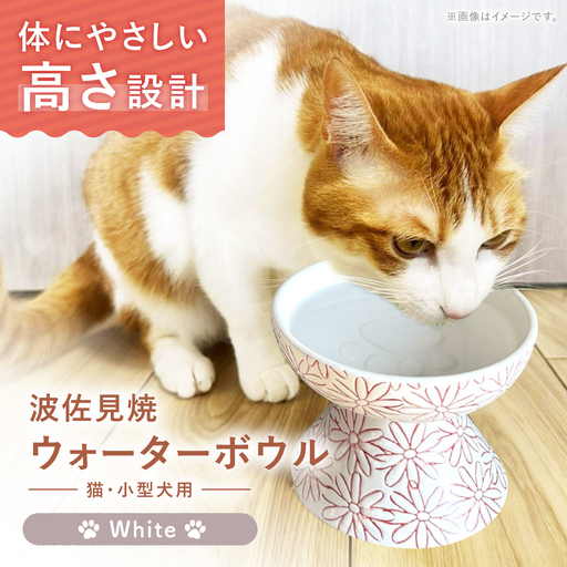 [波佐見焼]ウォーターボウル 猫・小型犬用 花美(はなび)シリーズ white 1点[enjoy the meals][AH14]