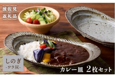 [波佐見焼]おとなの カレー皿 (ワラ灰しのぎ)2枚セット 食器 皿 [大桂工房] [GD14] 波佐見焼