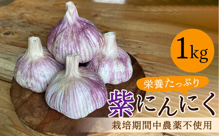 香り高い! 紫にんにく 1kg 野菜 薬味 ニンニク [浅田峠自然塾][EA17]