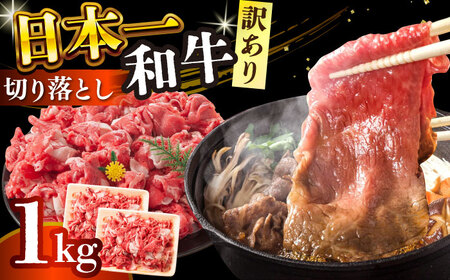 訳あり A4-A5 長崎和牛 切り落とし 500g×2 (肩ロース・バラ) [DBS004] 訳アリ 牛肉