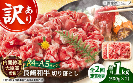 y2ցzy󂠂z A4-A5 a ؂藎Ƃ 500g×2 ([XEo)   [DBS045] A 