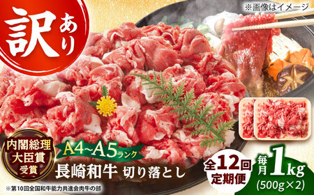 y12ցzy󂠂zA4-A5 a ؂藎Ƃ 500g×2([X/o) [DBS048]