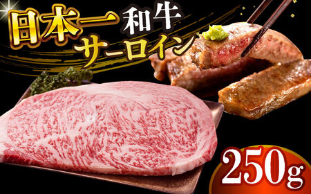 [A4〜A5]長崎和牛サーロインステーキ 250g(250g×1枚)[株式会社 MEAT PLUS] 