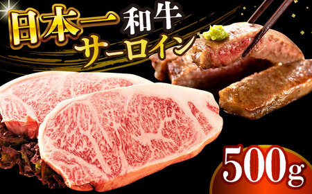 A4-A5 長崎和牛サーロインステーキ 250g×2 [DBS014] 牛肉 焼肉 ステーキ