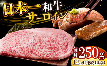 【12回定期便】A4-A5 長崎和牛 サーロインステーキ (250g) [DBS084] 牛肉 焼肉 ステーキ 