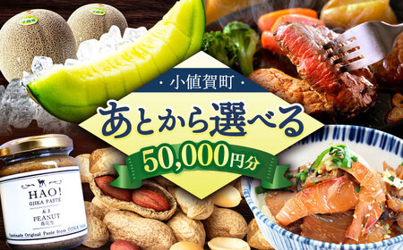[あとから選べる]町 ふるさとギフト 5万円分 先に寄附 5万円 50000円 長崎県 