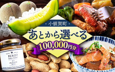 [あとから選べる]小値賀町 ふるさとギフト 10万円分 / あとから選べる あとから寄附 あとからギフト 後から選べる 後から あとからセレクト 駆け込み 先に寄附 10万円 100000円 長崎県 小値賀 