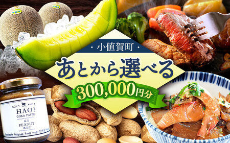 [あとから選べる]小値賀町 ふるさとギフト 30万円分 / あとから選べる あとから寄附 あとからギフト 後から選べる 後から あとからセレクト 駆け込み 先に寄附 30万円 300000円 長崎県 小値賀 