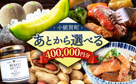 [あとから選べる]小値賀町 ふるさとギフト 40万円分 / あとから選べる あとから寄附 あとからギフト 後から選べる 後から あとからセレクト 駆け込み 先に寄附 40万円 400000円 長崎県 小値賀 